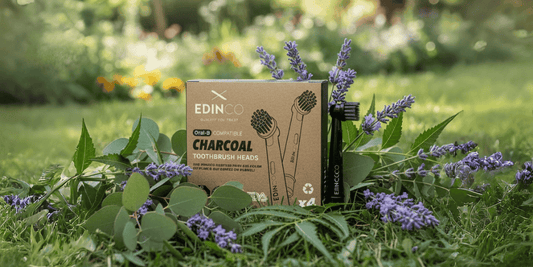 How Often Should You Replace Your Electric Toothbrush Head?