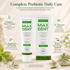 A toothpaste tube and matching box for MaxDent Prebiotic plant-based toothpaste are centered on a light beige background with botanical illustrations and text callouts about ingredients and benefits. The product packaging is white with green and teal accents, and the scene includes mint leaves, a spoonful of powder, and a small bowl of rosemary.
