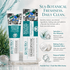 Edinco Sea Minerals and Spirulina Toothpaste, Fluoride-Free with Xylitol for Enamel-Conscious Daily Oral Care, 65 ml - Edinco-Edinco
